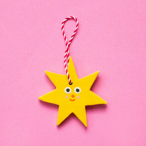 Shinny Star / Christmas Decorations