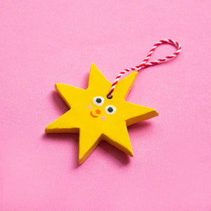 Shinny Star / Christmas Decorations